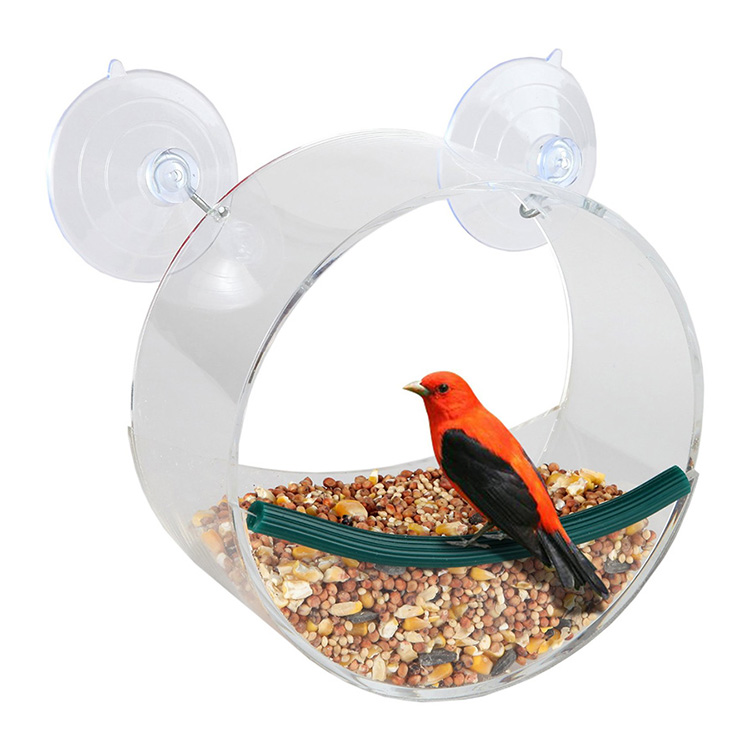 Bird Feeder 51 Bird Feeder 51