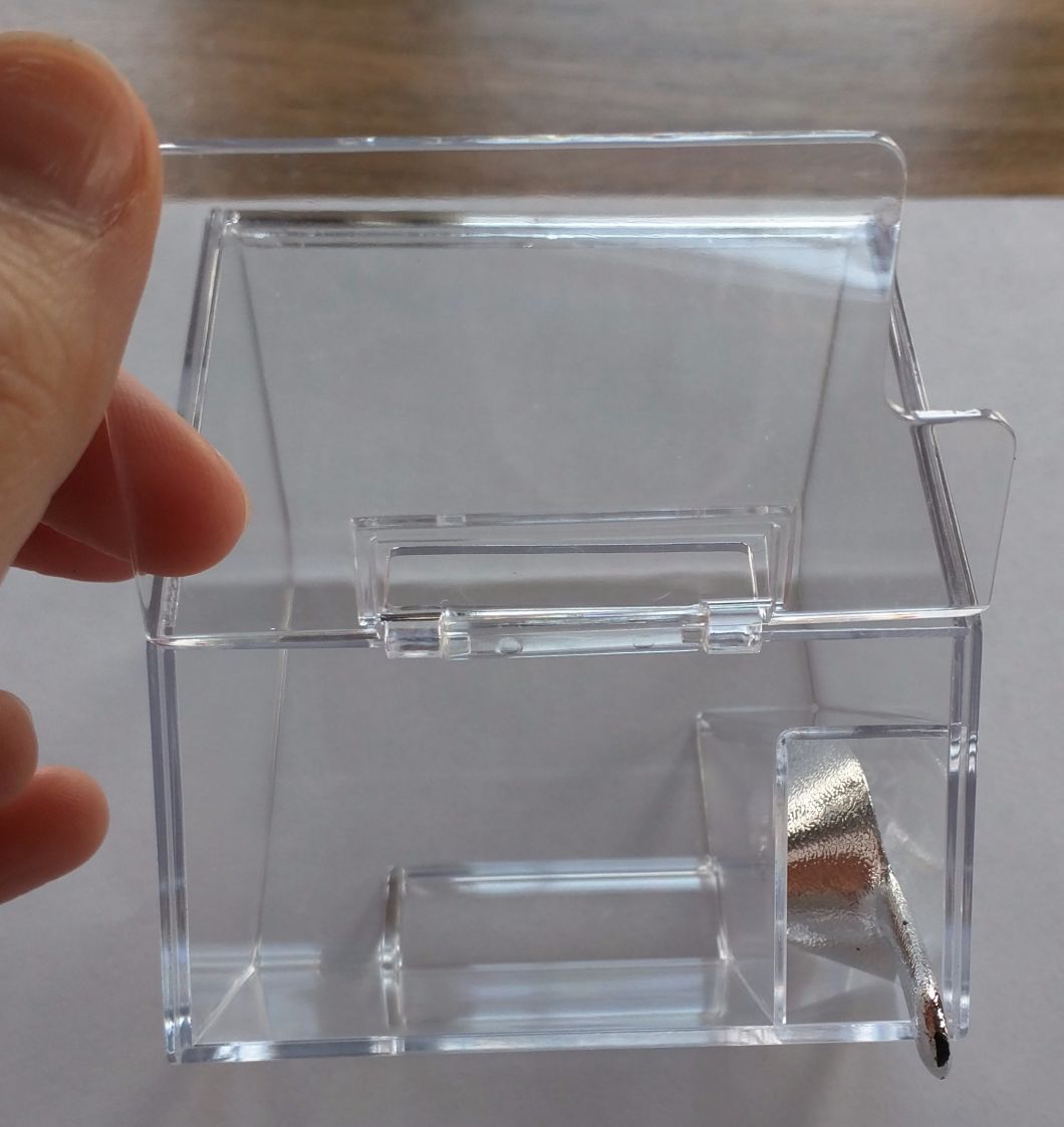 Perfectly Plain Collection Candy Bin & Scoop Favors
