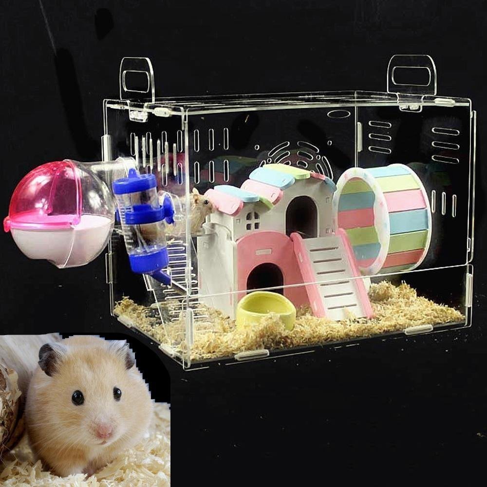 Hamster House2 Hamster House2