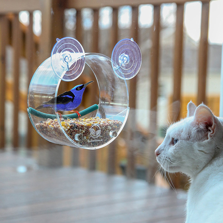 Bird Feeder 50 Bird Feeder 50
