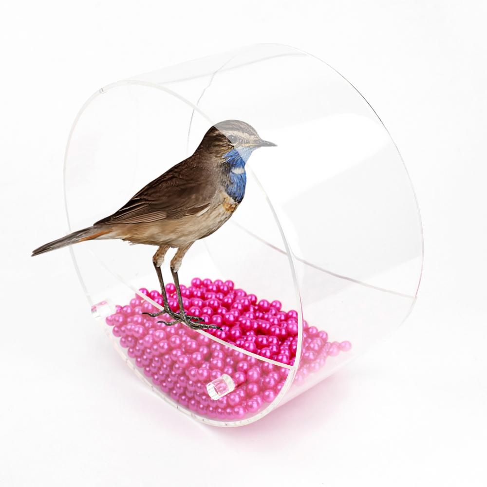 Bird Feeder 8 Bird Feeder 8