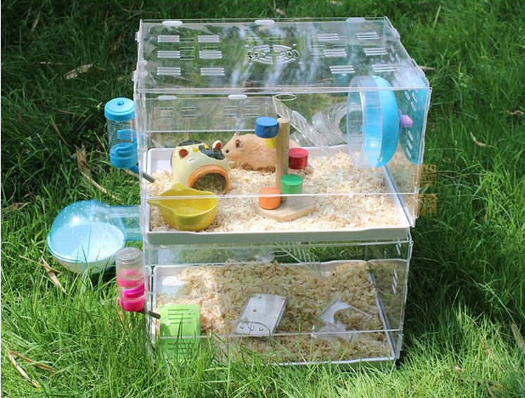 Hamster House22 Hamster House22